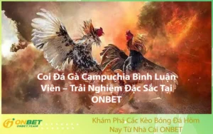 Coi Đá Gà Campuchia Bình Luận Viên – Trải Nghiệm Đặc Sắc Tại ONBET