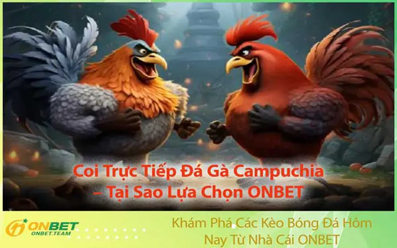 Coi Trực Tiếp Đá Gà Campuchia – Tại Sao Lựa Chọn ONBET?