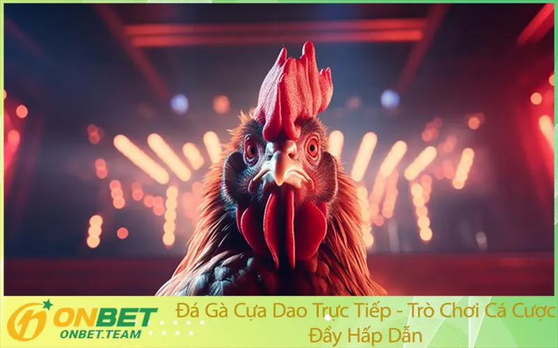 Đá Gà Cựa Dao Trực Tiếp - Trò Chơi Cá Cược Đầy Hấp Dẫn
