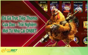 Đá Gà Trực Tiếp Thomo Cựa Dao – Trải Nghiệm Mới Từ Nhà Cái ONBET