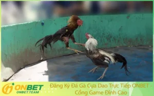 Đăng Ký Đá Gà Cựa Dao Trực Tiếp ONBET - Cổng Game Đỉnh Cao