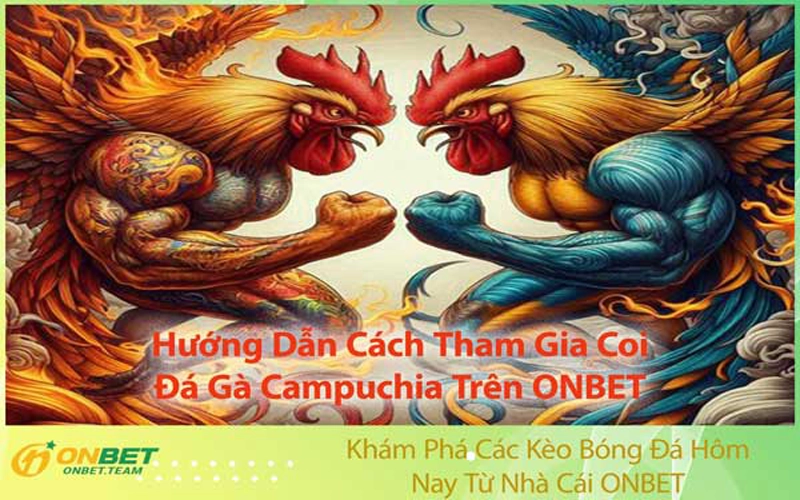 Hướng Dẫn Cách Tham Gia Coi Đá Gà Campuchia Trên ONBET