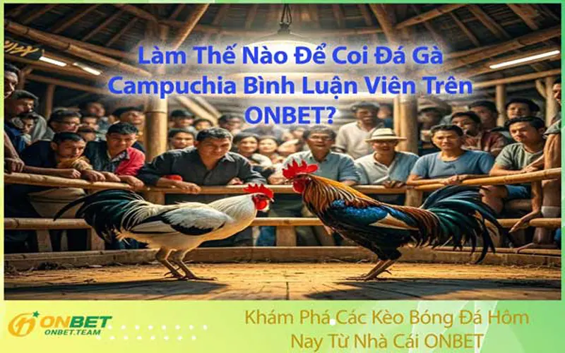 Làm Thế Nào Để Coi Đá Gà Campuchia Bình Luận Viên Trên ONBET?