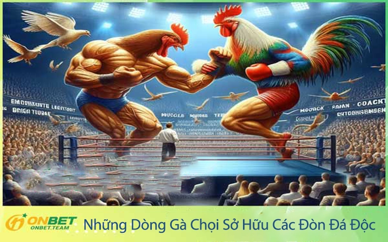 Những Dòng Gà Chọi Sở Hữu Các Đòn Đá Độc