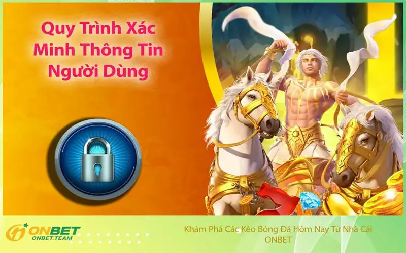 Quy Trình Xác Minh Thông Tin Người Dùng