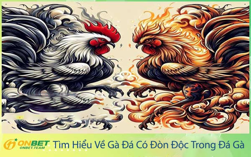 Tìm Hiểu Về Gà Đá Có Đòn Độc Trong Đá Gà