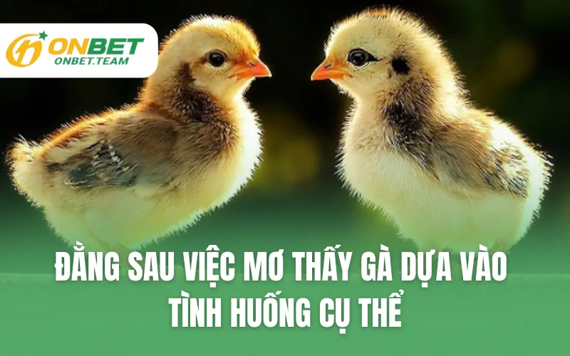 Đằng sau việc mơ thấy gà dựa vào tình huống cụ thể