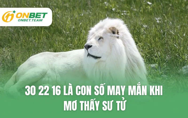 30 22 16 là con số may mắn khi mơ thấy sư tử