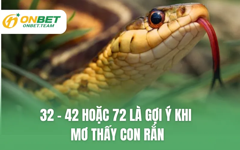32, 42 hoặc 72 là gợi ý khi mơ thấy con rắn