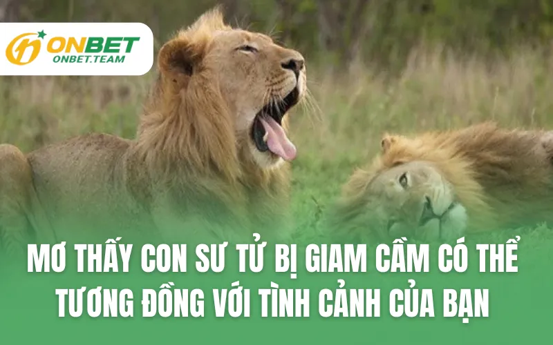 Mơ thấy con sư tử bị giam cầm có thể tương đồng với tình cảnh của bạn