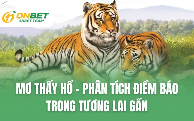 Mơ Thấy Hổ - Phân Tích Điềm Báo Trong Tương Lai Gần