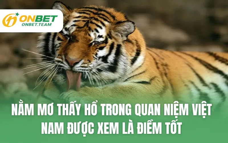 Nằm mơ thấy hổ trong quan niệm Việt Nam được xem là điềm tốt