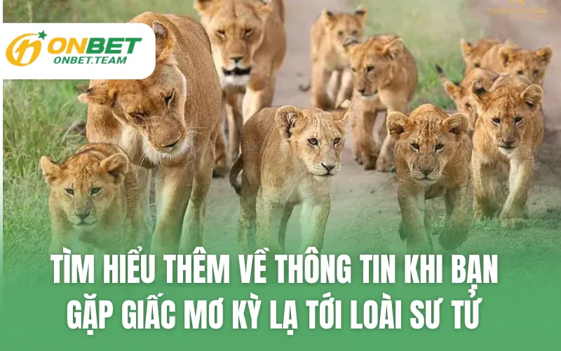 Tìm hiểu thêm về thông tin khi bạn gặp giấc mơ kỳ lạ tới loài sư tử