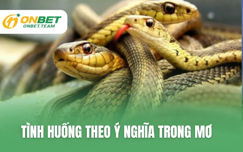 Tình huống theo ý nghĩa trong mơ