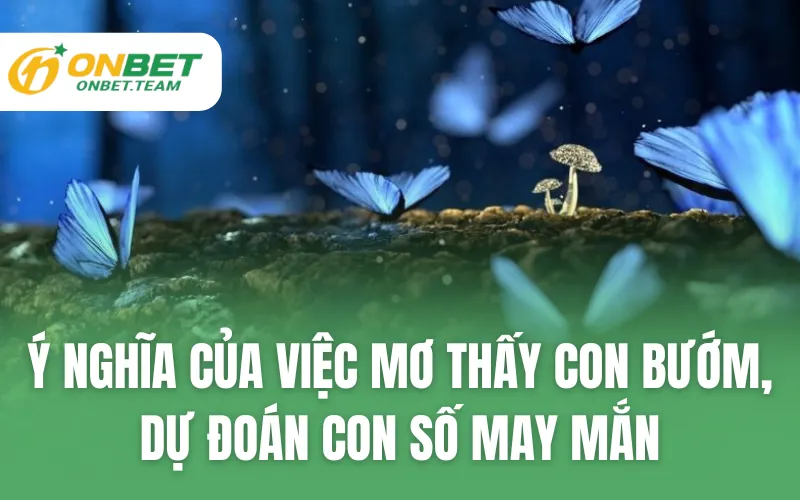Ý Nghĩa Của Việc Mơ Thấy Con Bướm, Dự Đoán Con Số May Mắn